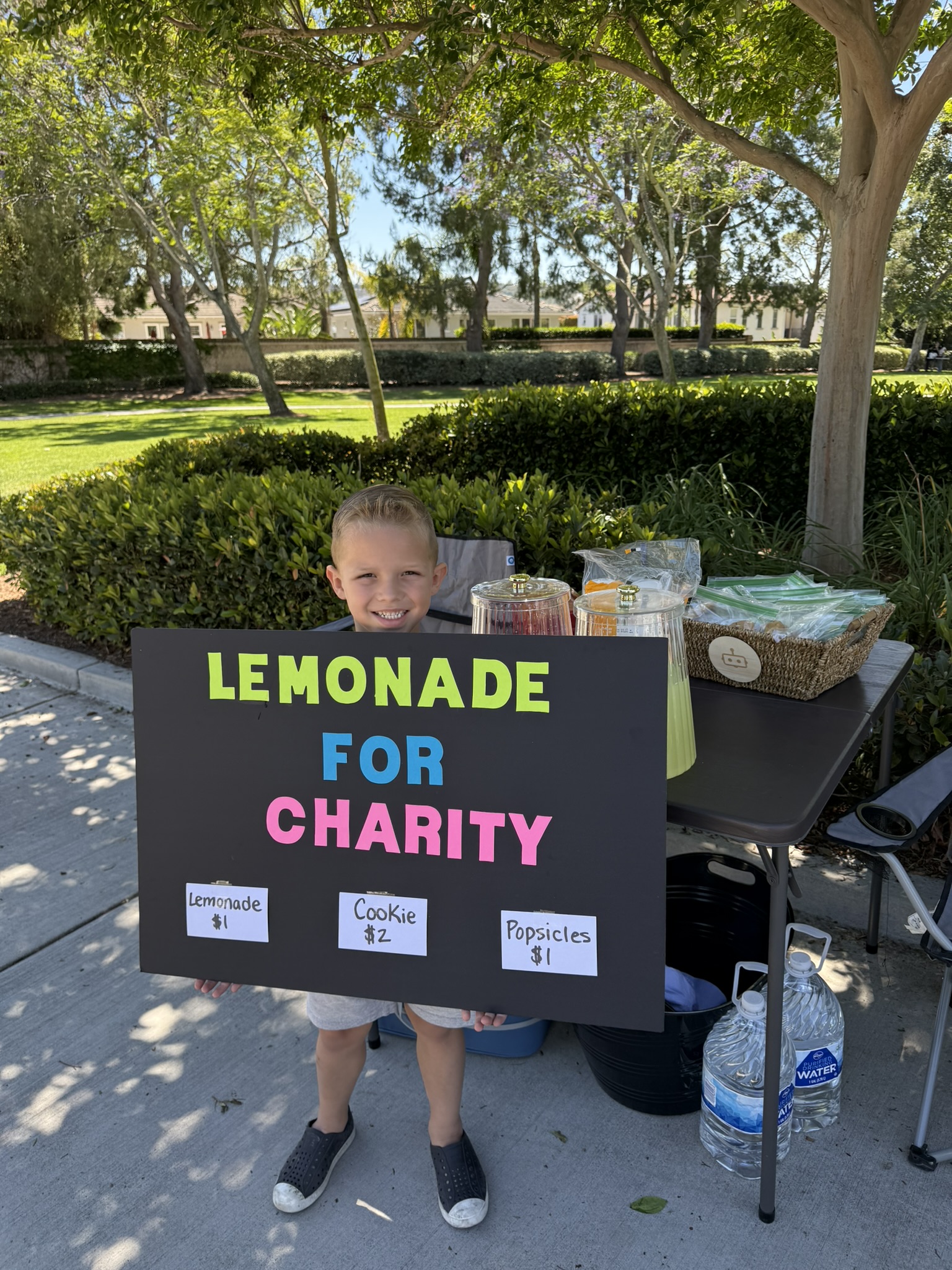 Our family's Lemonade for Charity stand