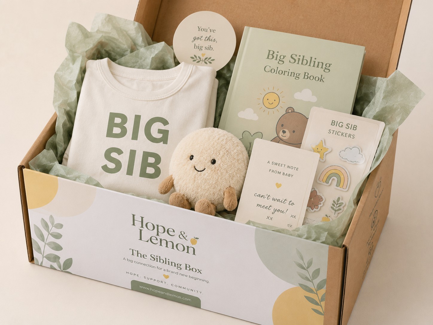The Sibling Box